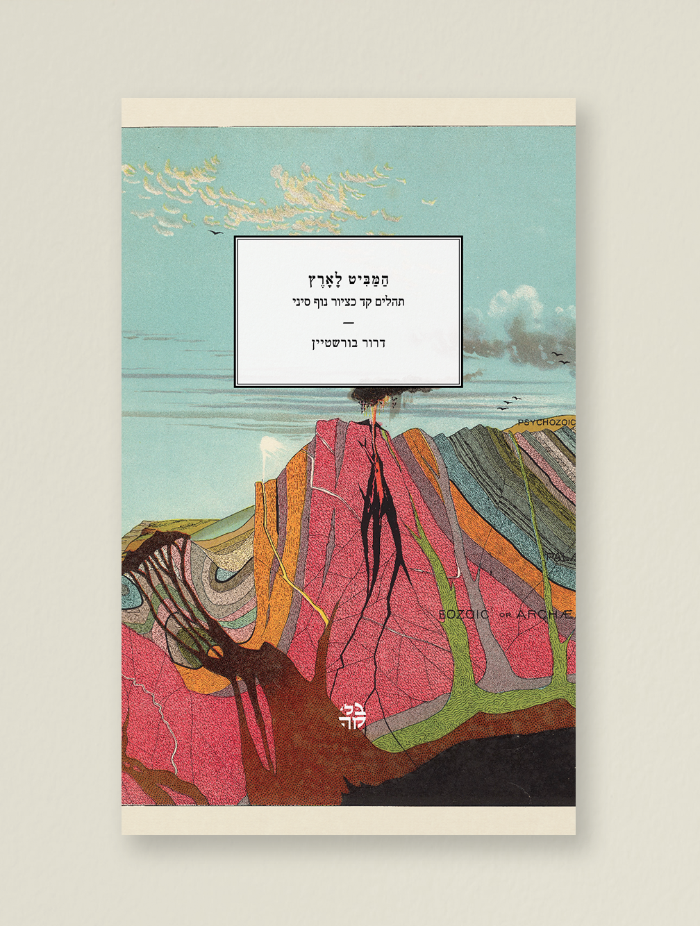 המביט לארץ